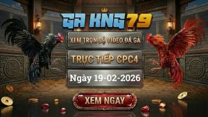 GAKING79 Xem Full Clip Da Ga Truc Tiep CPC4 Ngay 19022026 1