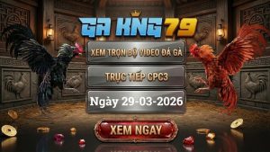 Xem Full Clip Đá Gà Trực Tiếp CPC3 Ngày 29/03/2026
