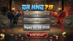 Xem Full Clip Đá Gà Trực Tiếp CPC5 Ngày 02/04/2026