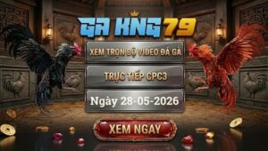 Xem Full Video Đá Gà CPC3 28/5/2026