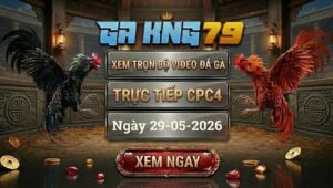 Xem Full Video Đá Gà CPC4 29/5/2026