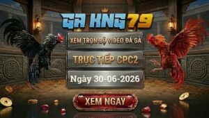 Xem Full Video Đá Gà CPC2 Ngày 30/06/2026 Tại GAKING79